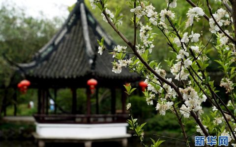 上海：古典园林春意浓