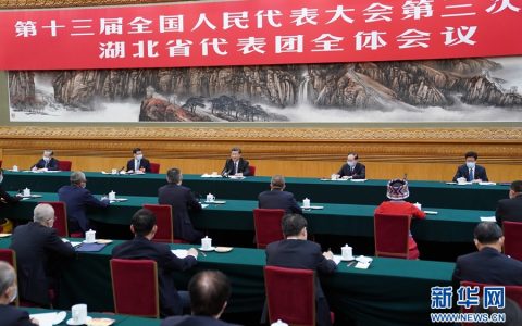 习近平参加湖北代表团审议