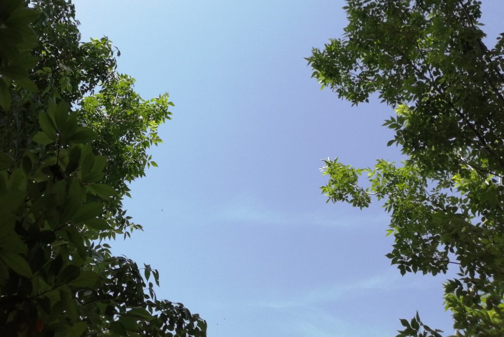 未来几天我省北风比较多 晴间多云将成常态