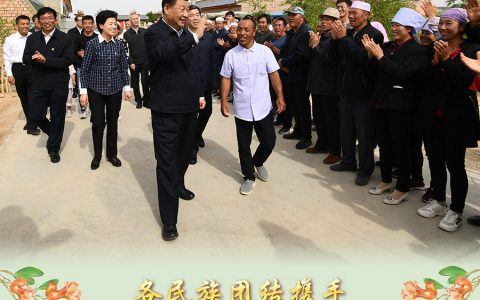 “一个少数民族也不能少”——记习近平总书记在宁夏考察脱贫攻坚奔小康