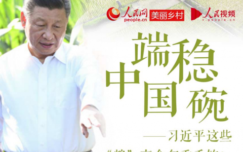 端稳中国碗 习近平这些“粮”言金句重千钧！( / )