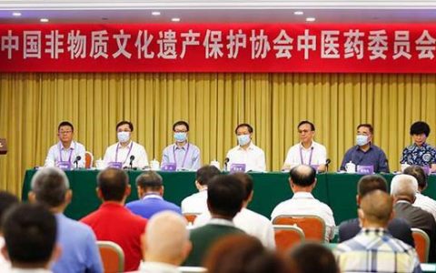 着力中医药非遗保护传承发展，服务人民健康安全