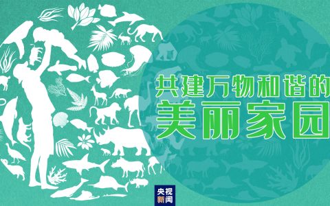 “共建万物和谐的美丽家园”，习近平首次提出这一重大倡议