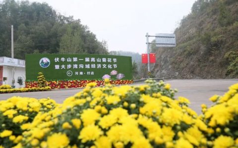 伏牛山第一届高山菊花节暨大步湾沟域经济文化节文明出游倡议书