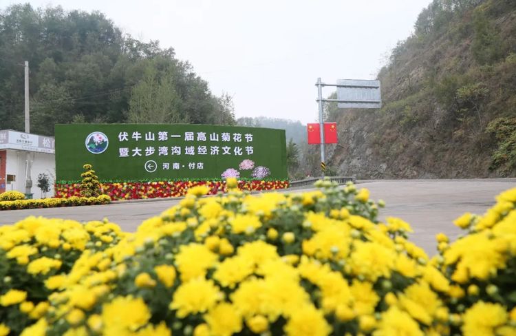伏牛山第一届高山菊花节暨大步湾沟域经济文化节文明出游倡议书