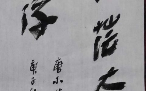 书法评论家汪太银:书法精品是自然美