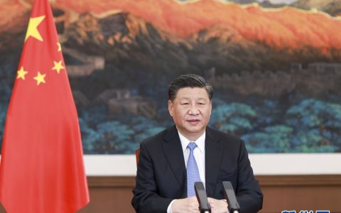 习近平在二十国集团领导人利雅得峰会“守护地球”主题边会上致辞
