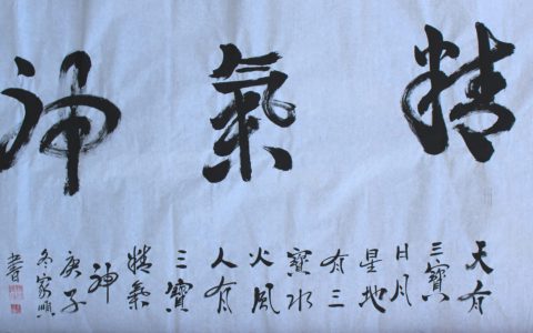 焦家顺书法欣赏