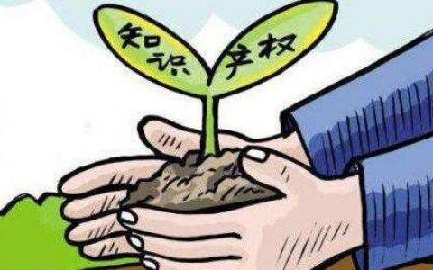 习近平对知识产权保护工作提出重要要求