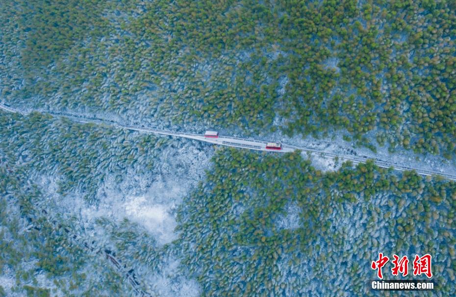 江南迎降雪 常州溧阳南山竹海银装素裹美如画