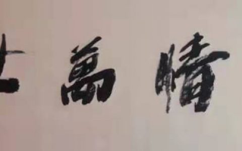 中国好人汪太银 2021年元旦宣誓词: