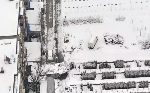 汪太银:  郑州真的下雪了