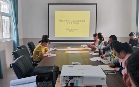 履行主体责任 弘扬廉洁文化——保合寨小学主题党课活动