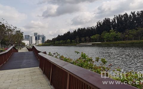 【续写更多春天的故事走进经济特区国家级新区】深圳大沙河生态长廊织就城市“绿色项链”