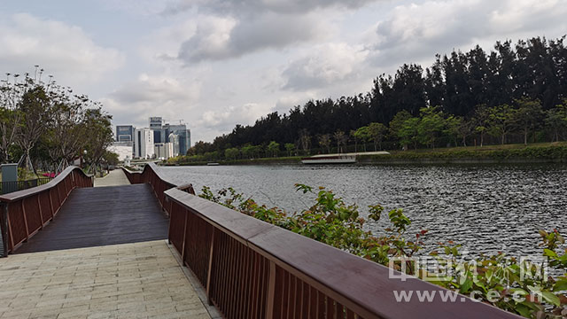 【续写更多春天的故事走进经济特区国家级新区】深圳大沙河生态长廊织就城市“绿色项链”