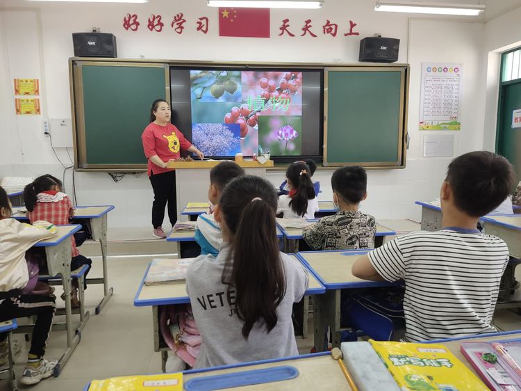 珍爱生命 绽放精彩——保合寨小学生命教育主题活动