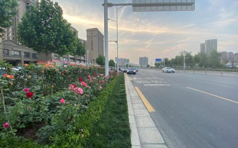 全民总动员 擦亮环境综合整治“金名片”