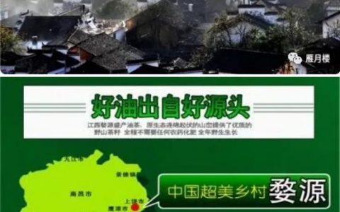 新品上市！！雁月楼有机山茶油