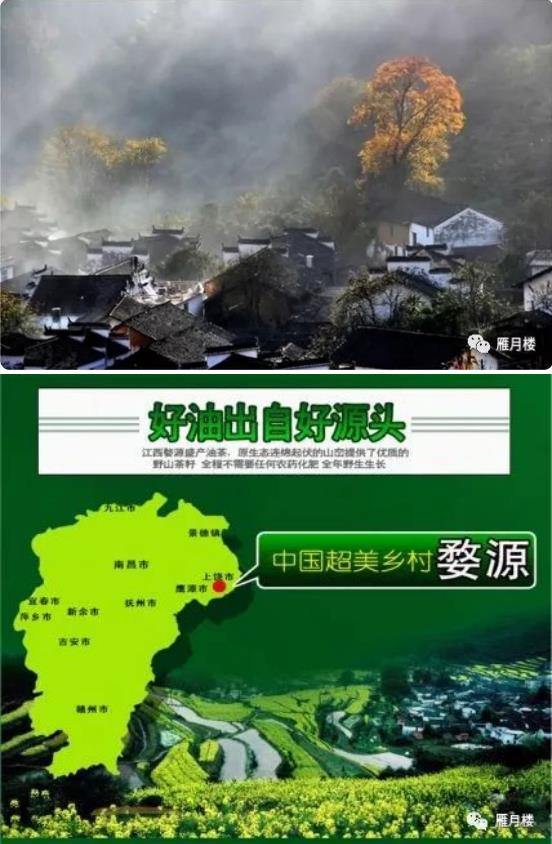 新品上市！！雁月楼有机山茶油