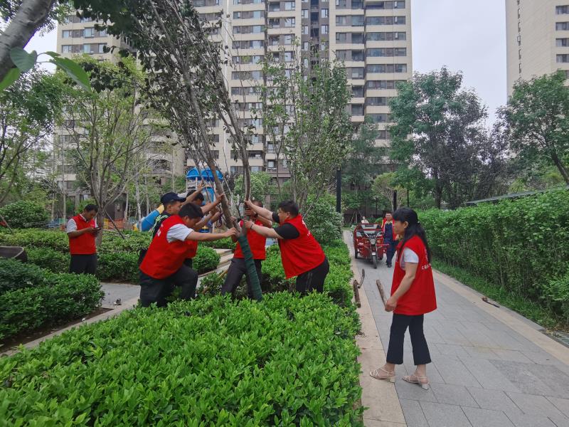 风雨过后绘彩虹——新城街道践行实事为民，干群合力开展灾后恢复