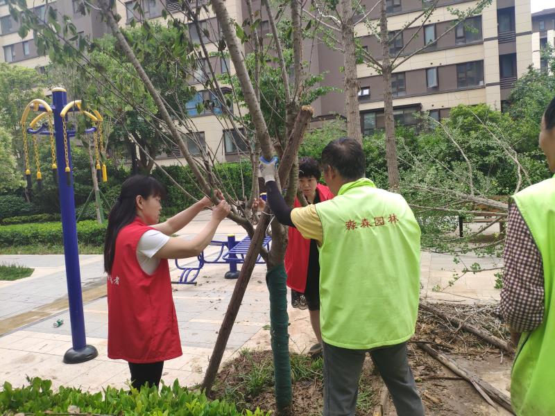 风雨过后绘彩虹——新城街道践行实事为民，干群合力开展灾后恢复