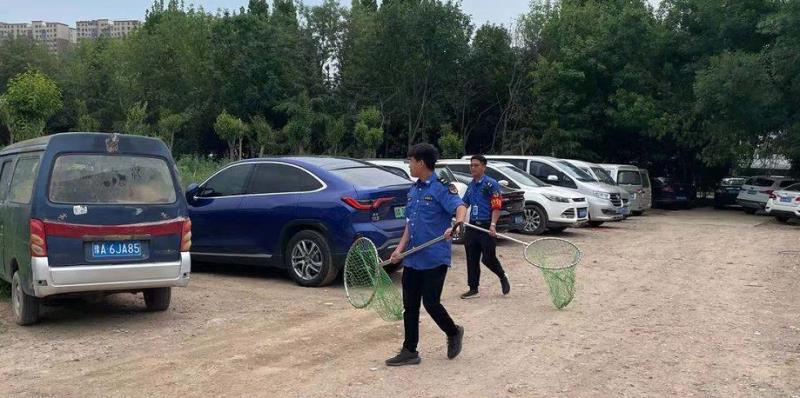 规范养犬行为  助力文明养犬