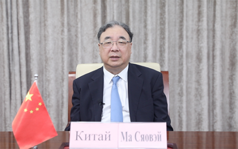马晓伟：确保疫苗、试剂、药物等公共产品公平可及 共同构建上合卫生健康共同体