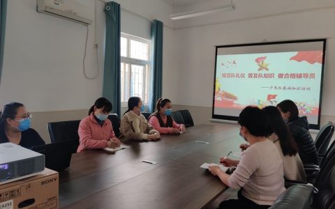 注重队礼仪 普及队知识——保合寨小学班主任培训活动