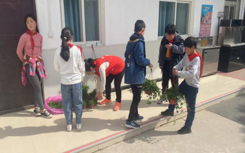 护一抹新绿，寄一份希望——保合寨小学植树节活动