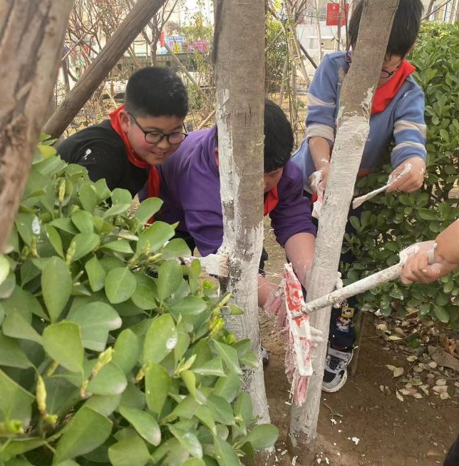 护一抹新绿，寄一份希望——保合寨小学植树节活动