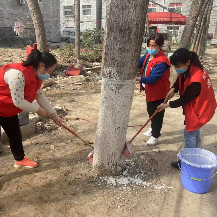护一抹新绿，寄一份希望——保合寨小学植树节活动