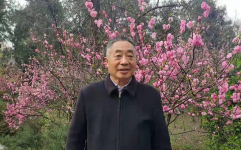 双笔书法名家任桂林介绍