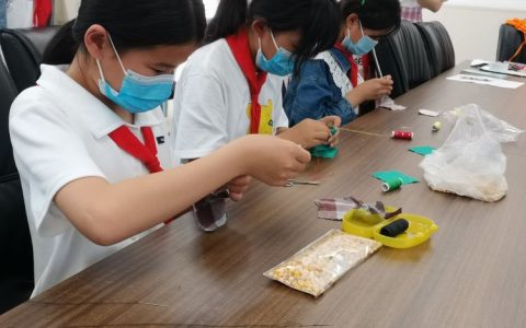 凝心聚力，教研中促成长——保合寨小学英语教研活动（一）