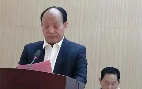 季子故里宗亲会：全力修宗谱，会刊上档次，全方位参与研讨季子文化