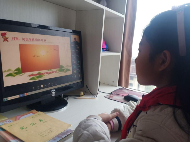 保护环境，认识湿地 ——保合寨小学线上主题班会