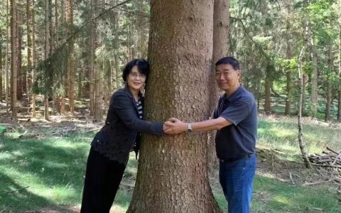 侨耀玉林——记吴红、宋志军：“医”路攀登的华人伉俪
