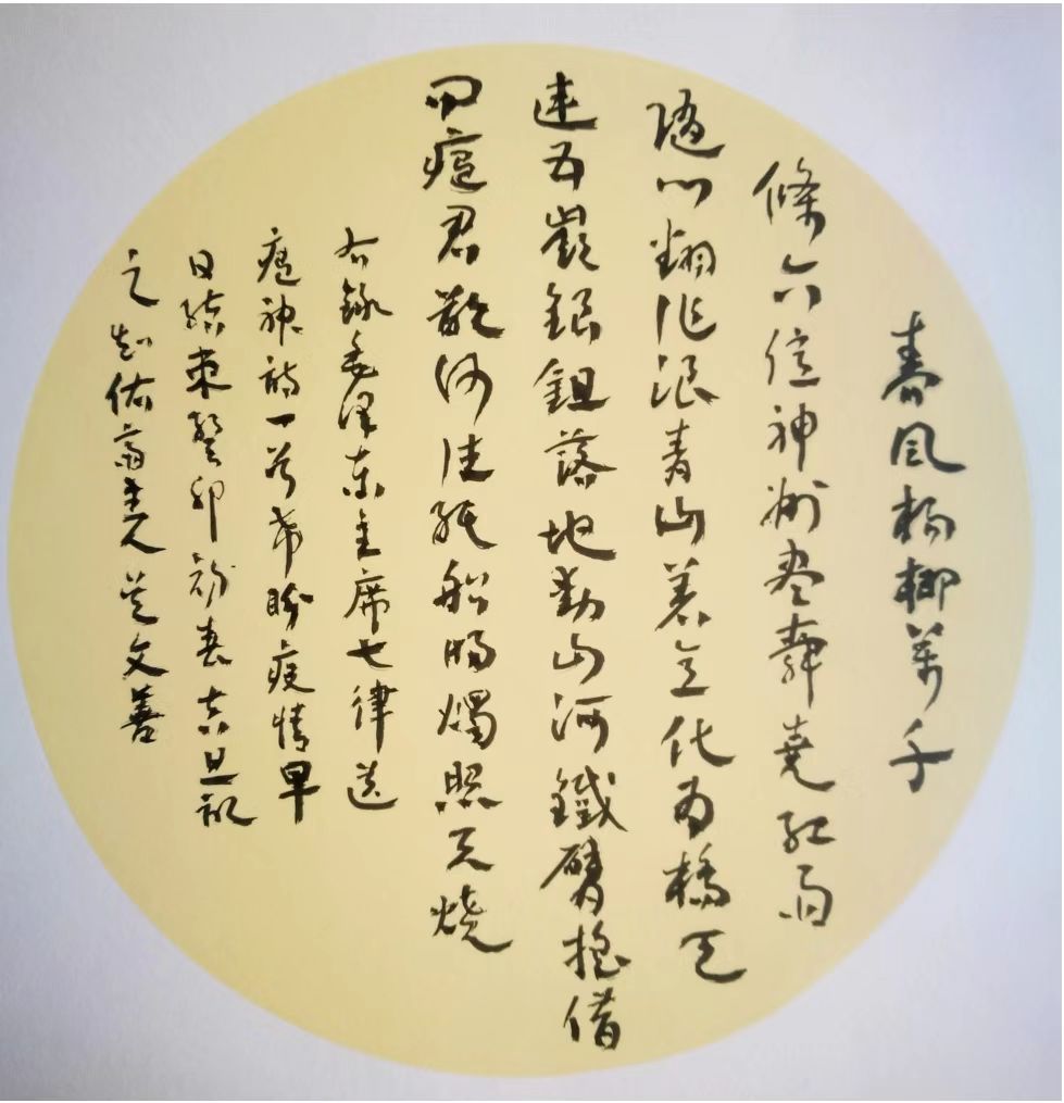 八闽才俊吴文善——吴氏英才风采系列报道书法名家 | 吴文善艺术￼