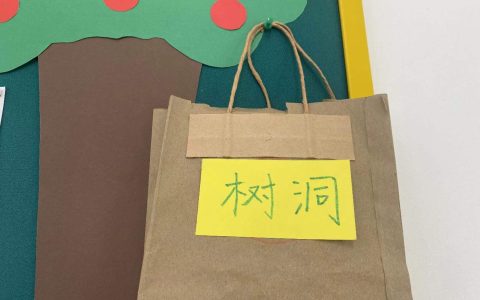 心能生羽翼，阳光自在怀——保合寨小学心理健康活动纪实