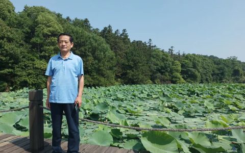 家乡的童谣