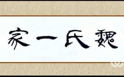 热烈祝贺南阳姓氏历史文化研究会魏姓分会2024续谱推进会圆满成功召开！