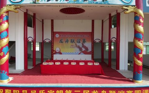 端午竞渡 龙舟飞扬