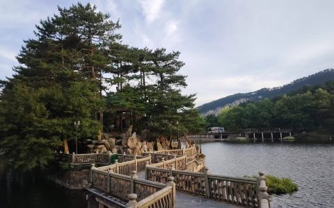 庐山之颠 吴学绽放
