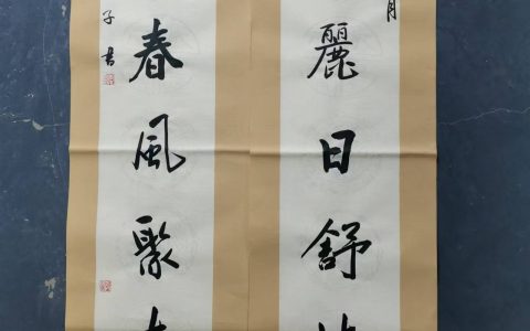 李风安书法作品欣赏