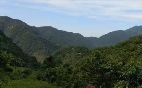 豫西家乡魅力的秋天