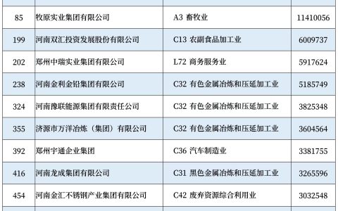 河南13家企业上榜2024中国民营企业500强