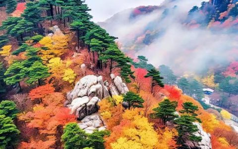 清明祭