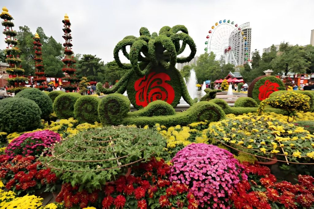 《洛阳秋菊展》