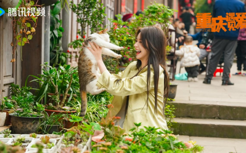 旅途遇真爱，美景愈人心，文旅微短剧《重庆遇见爱》今日开播