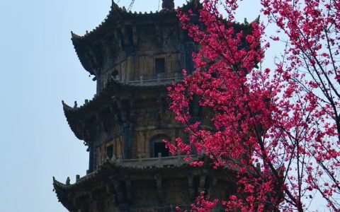 《半城烟火半城仙》——泉州写给世界的启示录