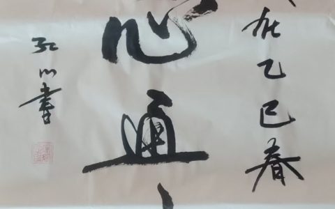 翰墨丹青绘春秋，笔走龙蛇书华章——记书法家宋红心
